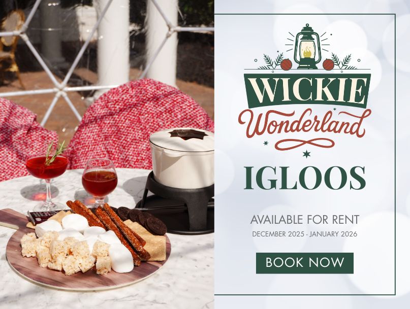 Vivamee Pop Ups (20)